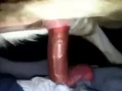 Zoo Sex Name