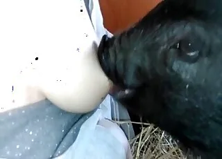 Taboo pig play with nipple teasing in short clip