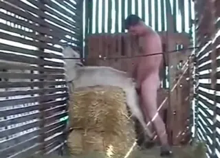 Horny goat deepthroat clip with gaping action