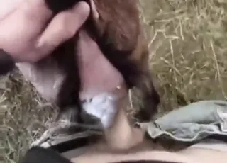 Raw goat gape clip with amateur handheld framing