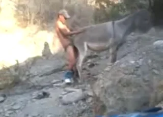 Mule cumshot in raw outdoor zoo porn clip