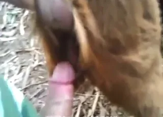 POV goat pussy fuck — 4 min intimate clip