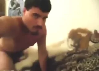 Wolf zoophile clip with heavy gaping action