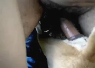 Tiny dog gets a hairy cock in 53s zoo clip
